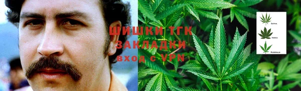 СК Осинники