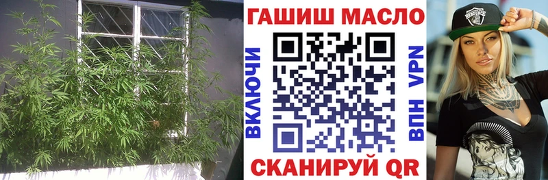 Купить закладки  Зеленогорск  Дистиллят ТГК концентрат 