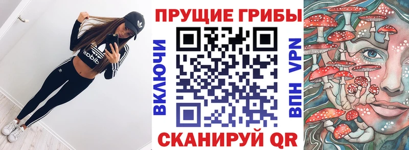 Купить закладки  Зеленогорск  Галлюциногенные грибы прущие грибы 